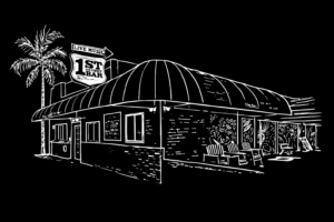 Desperate Electric (Power Disco/Futuristic R&B/Retro Dance Grooves)